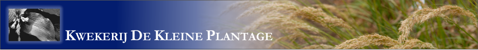 Welkom op de website van de kwekerij de kleine plantage..